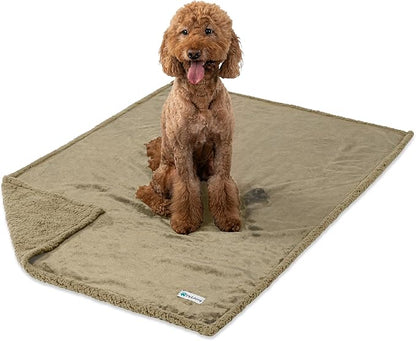 PetAmi Waterproof Dog Blanket for Medium Large XL Dog Puppy Cat Throw for Couch Cover Leakproof Protection, Sherpa Fleece, Reversible Soft Washable 80x60 Taupe Taupe