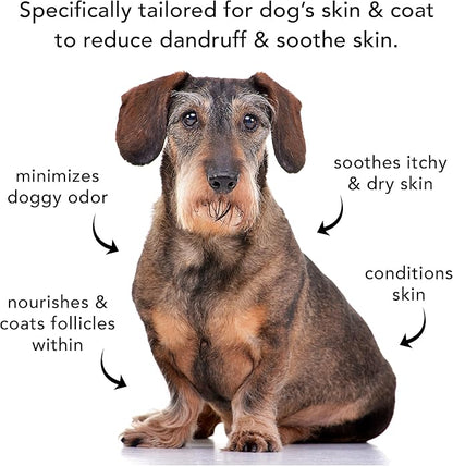 Pride and Groom The Sensitive One | Dog Grooming Shampoo for Puppies and Dogs with Itchy, Dry Skin| Tearless All Natural Body Wash with Essential Oils to Soothe Skin – 16oz (Pack of 2)