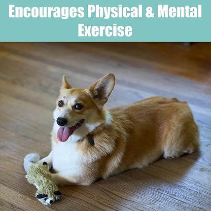 SPOT Skinneeez Raccoon 14 Inch Stuffing-Free Plush Dog Toy – Soft, Mess-Free Toy with One Squeaker for Small & Medium Dogs, Best for Light to Moderate Chewers