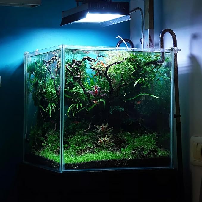 Ultum Nature Systems Driftwood - Spider Drift Wood for Fish Tank, Planted Tank, Terriarium, Paludarium - Versatile Natural Driftwood Decor, Events Wood Centerpiece - Spider Wood, S 7-12", 3 Pack