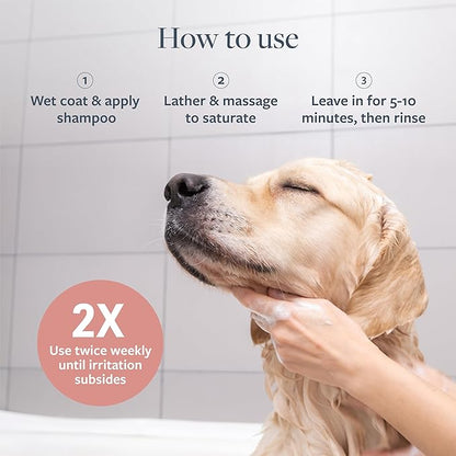 Veterinary Formula Clinical Care Hot Spot & Itch Relief Medicated Shampoo for Dogs and Cats 16 Fl Oz  Helps Alleviate Sensitive Skin, Scratching, and Licking of Coat (2 Pack)