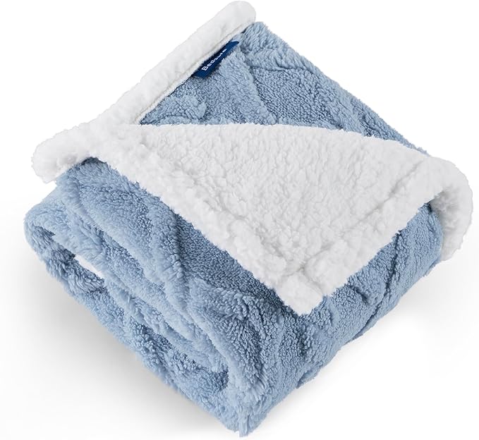 Bedsure Waterproof Dog Blankets for Small Dogs - Pet Blanket for Couch Protector Washable, Premium Jacquard Coral Fleece Cat Throw Blanket, Soft Reversible Furniture Protection, 25"x35", Light Blue