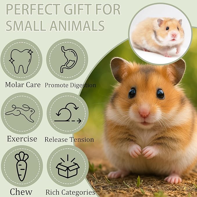 16 PCS Fruity Balsa Wood Chew Animal Toy for Rabbits Natural Chew Blocks for Hamster Chinchilla Guinea Pig,Molar Treats Snack for Small Animals Teeth Care (20x20x20mm)