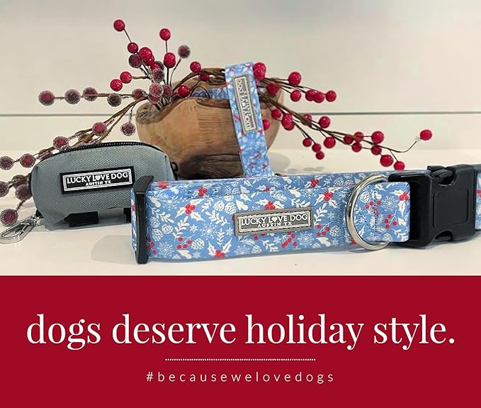 Lucky Love Dog Collar, Cute Winter Dog Collars for Medium Dogs, Blue Snowflake Dog Collar for Male and Female Dogs, Part of Purchase Donated to Dog Rescue - (Winterblue Collar, M)