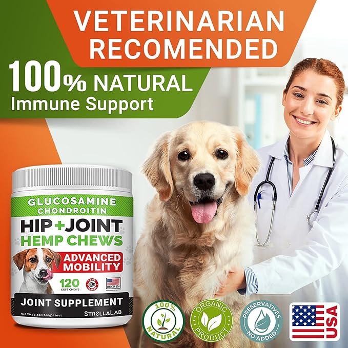 Large Breed Hemp + Glucosamine Dog Joint Supplement - Hemp Chews for Dogs Hip Joint Pain Relief - Omega 3, Chondroitin, MSM - Advanced Mobility Hemp Oil Treats for Large Dogs - Made in USA - 240 Ct