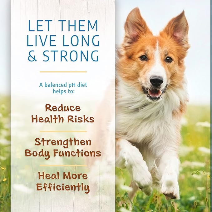 Canine Caviar Open Range Dog Food | Limited Ingredient Alkaline Holistic Dog Food  All Life Stages | Gluten Free, Ultra-Premium Dog Food | Healthy Skin & Coat | Buffalo & Chickpea  4.4 lbs