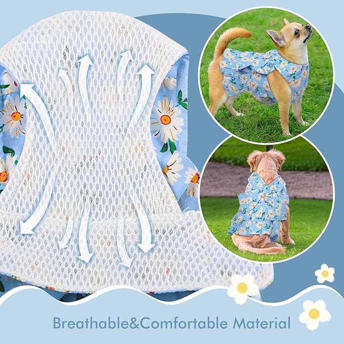 Dora Bridal 2 Pack Dog Dress Harness Vest with Leash, No Pull Cat Small Medium Girl Pet Floral Harness Leash Set, Cute Puppy Fruit Outfit Clothes with Bow, Mesh Princess Costume for Outdoor Walking