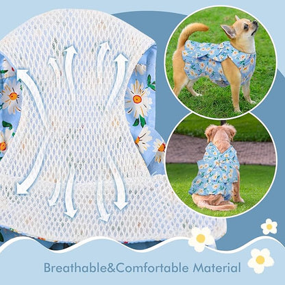 Dora Bridal 2 Pack Dog Dress Harness Vest with Leash, No Pull Cat Small Medium Girl Pet Floral Harness Leash Set, Cute Puppy Fruit Outfit Clothes with Bow, Mesh Princess Costume for Outdoor Walking