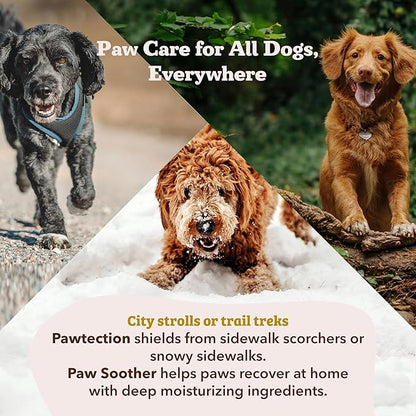 Natural Dog Company PawTection Balm 2 oz Stick – Dog Paw Protection Wax with Shea Butter & Calendula – Shields Paws from Snow, Ice, Salt, Hot Pavement & Rough Terrain – Lick-Safe, Vegan