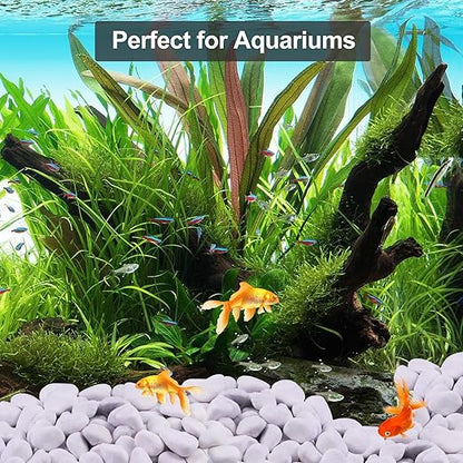 20Ib Snow White River Rock-Decorative Stones-Pebbles for Indoor Plants-Rocks for Outdoor Landscaping 1-2 inch High Polished Stones for Aquarium, Home Decor,Garden Decor