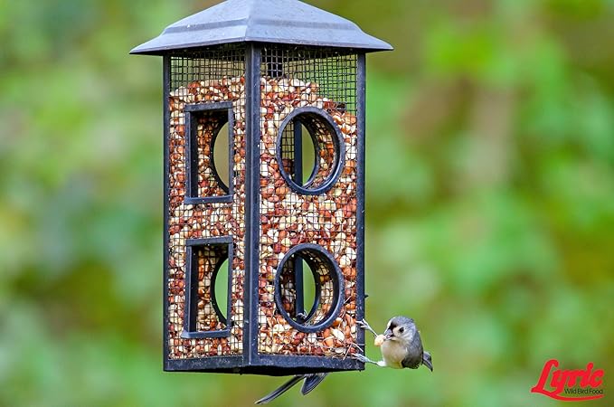 Lyric Delite Wild Bird Seed - No Waste Bird Food Mix with Shell-Free Nuts & Seeds - Attracts Buntings, Chickadees & Finches - 5 lb bag