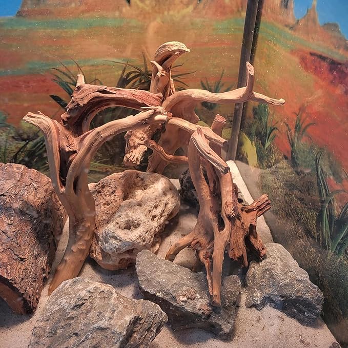 10 Pcs Natural Small Spiderwood for Aquarium, Aquarium Driftwood Freshwater 4-6 Inch, Assorted Size Spider Wood, Twisted Branches for Fishtank Accessories, Reptile Terrariums Decorations