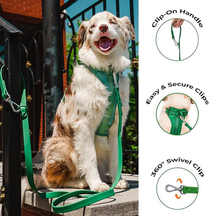 Dog Harness and Leash Set | BearBone No Pull Dog Harness and Waterproof Dog Collar and Leash Set | Heavy Duty Dog Harness, Leash and Collar | Medium Dog Harness, Leash and Collar (Green, Medium)
