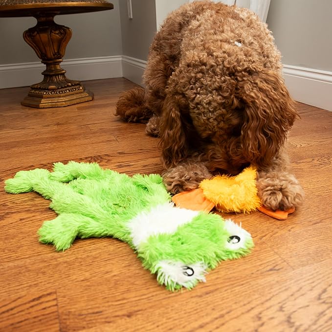 FGA MARKETPLACE Duck and Frog Flat NO Stuffing NO Squeak Plush Dog Toy, Funny Style Will Entertain Your Dog for Hours, Recommended for Small and Medium Dog 21 INCH Long