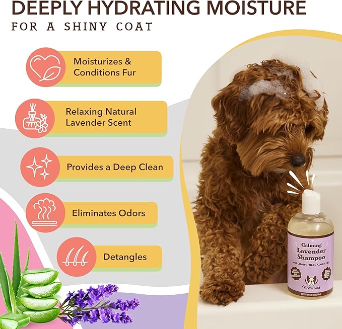 Natural Dog Company Calming Lavender Shampoo for Dogs - Hypoallergenic, Deodorizing Dog Shampoo for Sensitive Skin, All Natural, Organic Pet Shampoo, Soothes with Chamomile and Lavender, 12 oz