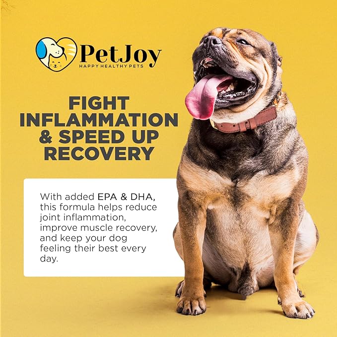 PetJoy Mobility Chews for Dog Arthritis Pain Relief - Hip and Joint Supplement for Dogs Senior and Large Breeds Glucosamine Chondroitin Joint Health Support (60 Chewable Bacon Treats)