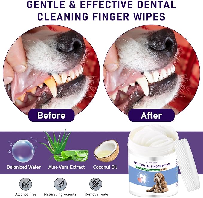 HavenJanny 50pcs Pet Teeth Cleaning Wipes for Dogs and Cats, Dog Dental Wipes for Reducing Plaque and Freshening Breath, Disposable Gentle Cleaning and Gum Care
