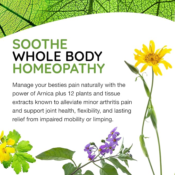 MediNatura T-Relief Pet Arthritis Relief Arnica +12 Powerful Natural Homeopathic Medicines Help Ease Hip & Joint Pain Soreness & Stiffness for Dog & Cat - 90 Tablets (2 Pack)