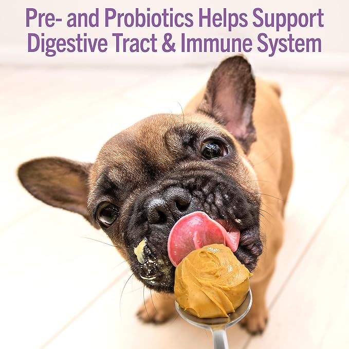 Dog Peanut Butter - Healthy Dog Treats with Dog Probiotics for Digestive Health - Anti Diarrhea for Dogs - Immune Support Supplement and Dog Gas Relief - Gut Health (8.46oz)
