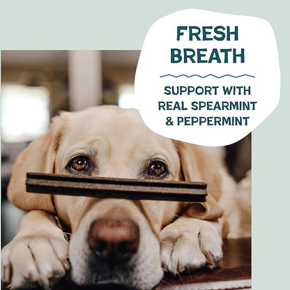 Shameless Pets Dental Chews for Dogs, Mighty Mint Dental Sticks, Healthy Treats for Teeth Cleaning & Fresh Breath - Free from Grain, Corn, & Soy for Small Dogs, 7.2 Ounce Bag
