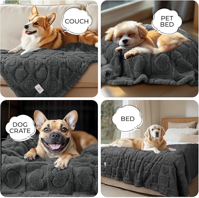 Luciphia Small Dog Blanket Washable Pet Bed Cover Soft Fluffy Puppy Blanket with Premium Fleece Cozy Calming Cat Blankets for Indoor Cats Grey 30x20 inch