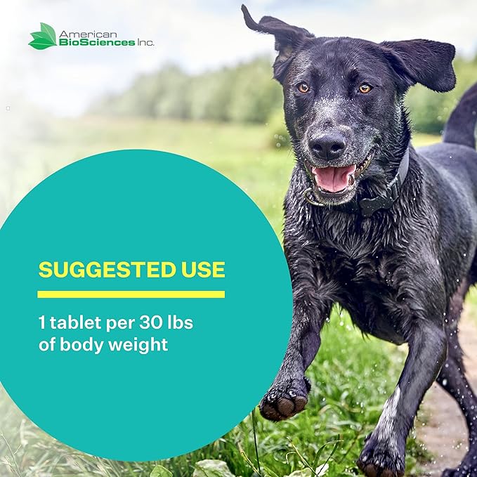 American BioSciences DGP, All-Natural Joint Supplement for Dogs - Joint Support with Turmeric Boswellia Extract - 60 Chewable Pet Tablets per Bottle (60 Count (Pack of 1))