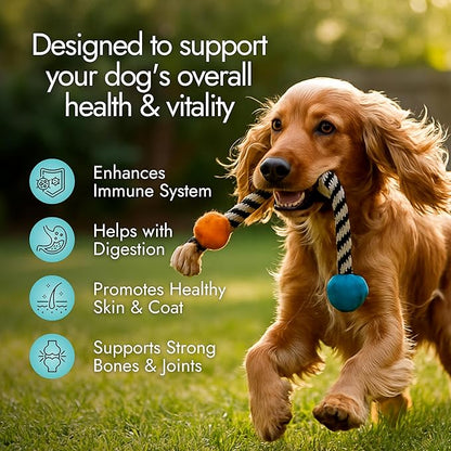 Pet Vet Multi Soft Chews for Dogs (Beef Liver, 60 Chews) – Multivitamins, Probiotics for Digestive Health – Glucosamine, Skin Supplement – Immune Support, Supplements & Vitamins