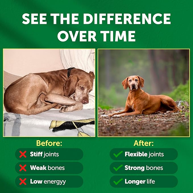 Nature's Protection Hip and Joint Supplement for Dogs - Senior Dog Mineral Supplement Powder for Bone Strength, Energy Boost, and Gut Health for Dogs & Cats of All Breeds, 9 Oz