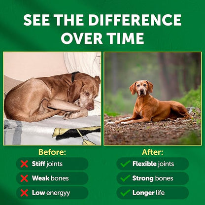 Nature's Protection Hip and Joint Supplement for Dogs - Senior Dog Mineral Supplement Powder for Bone Strength, Energy Boost, and Gut Health for Dogs & Cats of All Breeds, 9 Oz