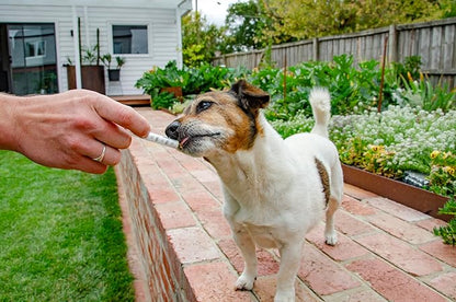 4CYTE Epiitalis® Forte Dog Gel 50ml/1.69 fl oz