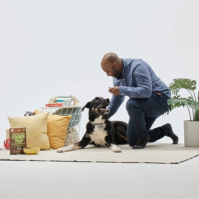 CookiePal Human Grade Dog Treats, Pumpkin and Chia Seed Recipe, Organic Non-GMO and Simple Ingredients, 10 Oz Bag