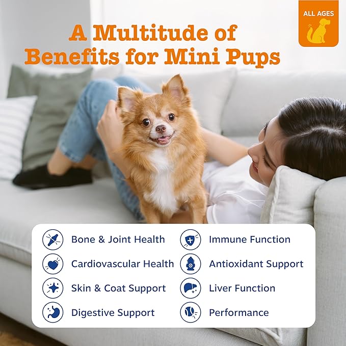 Zesty Paws Dog Multivitamin, Chewable Dog Vitamins and Supplements for Hip & Joints, Skin & Coat, Omega 3 Fish Oil for Dogs- Senior & Puppy Multivitamin - Chicken Mini Bites- 90ct