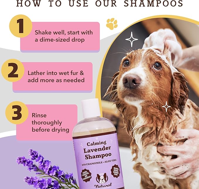 Natural Dog Company Calming Lavender Shampoo for Dogs - Hypoallergenic, Deodorizing Dog Shampoo for Sensitive Skin, All Natural, Organic Pet Shampoo, Soothes with Chamomile and Lavender, 12 oz