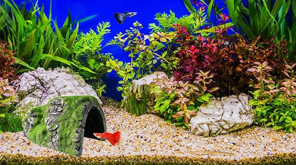 M2cbridge Aquarium Decorations Fish Hideout House Betta Cave with Green Lifelike Moss (Betta Rock Cave)
