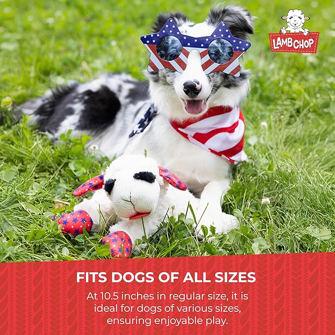 Multipet Lamb Chop Dog Plush Toy w/Birthday Hat - Squeaky Dog Toy for All Dogs - Soft Plush Dog Toy - Stuffed Animal Dog Toy for Playing - Cute Dog Birthday Toy (10.5, Pink Hat, 5 Squeakers)