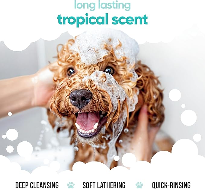 Tropical Dog Shampoo by Buddycare | Dry Skin & Itchy Skin Relief for Smelly Dogs | Deep Cleansing Shampoo for Dogs Puppy Sensitive Skin | Dog Shampoo & Conditioner | with Aloe & Vitamin B5 (16.90oz)