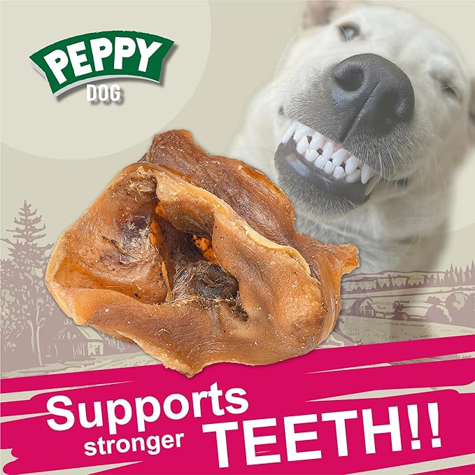 All Natural Pig Ear Slices Dog Treats (7oz) | Protein-Packed | No Preservatives | Promotes Dental Health | Hypoallergenic | Reduces Plaque and Tartar | Perfect Chewiness (7 oz (Pack of 1))