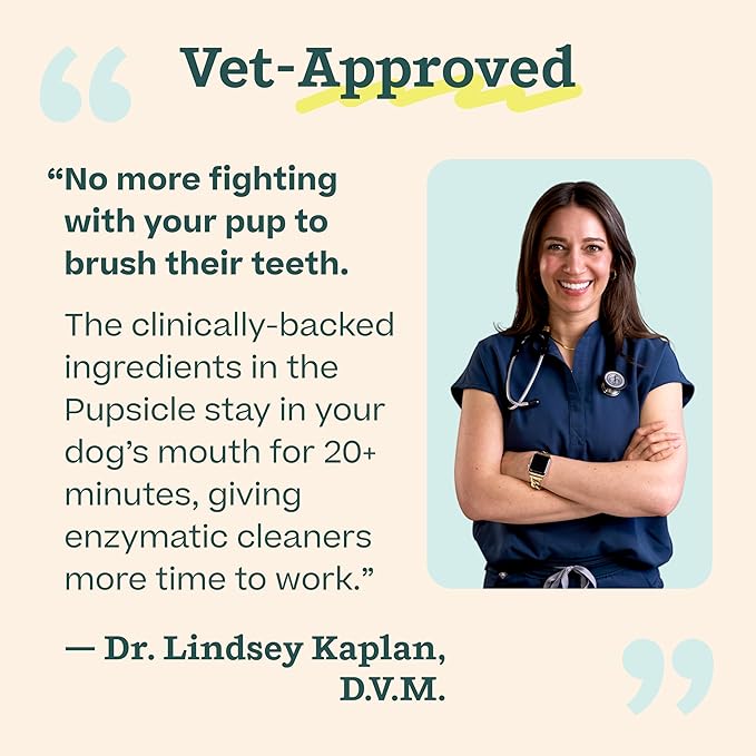 WOOF Dental Kit- Includes Pupsicle Dog Toy, Treat Tray, Shaker Bottle, Chicken Pupsicle Pops, and Dog Teeth Cleaning Powder - Supports Oral Health for Dogs - Large