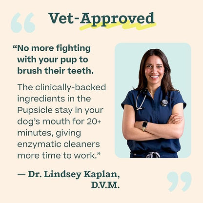 WOOF Dental Kit- Includes Pupsicle Dog Toy, Treat Tray, Shaker Bottle, Chicken Pupsicle Pops, and Dog Teeth Cleaning Powder - Supports Oral Health for Dogs - Small