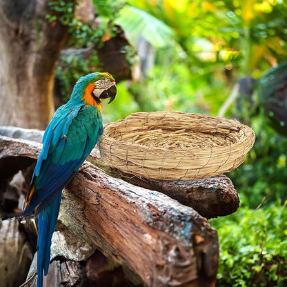 6 Packs Woven Straw Bird Nests, 8" Handmade Flat Base Spawning Nest, Small Animal Breeding Bed Hatch House Cage Accessories for Dove Pigeon Parrot Cuckoo Sparrow Rabbits Chinchillas Hamster