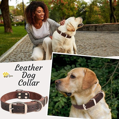 ADITYNA Heavy Duty Leather Dog Collar - Soft and Strong Dog Collar for Medium Dogs - Perfect for Walking, Training, Hiking, Traveling, Playing, and Running (Medium: Fit 13" - 20" Neck, Brown)