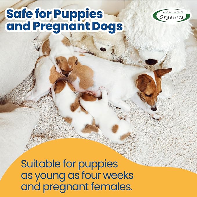 Summer Essence Dog Shampoo - Pure Castile Soap with Botanical Fruit & Flower Oils, Gentle Formula for Delicate Skin, Mild and Calming for Dogs from 4 Weeks & Older, 16 oz