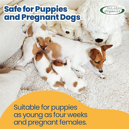 Summer Essence Dog Shampoo - Pure Castile Soap with Botanical Fruit & Flower Oils, Gentle Formula for Delicate Skin, Mild and Calming for Dogs from 4 Weeks & Older, 16 oz