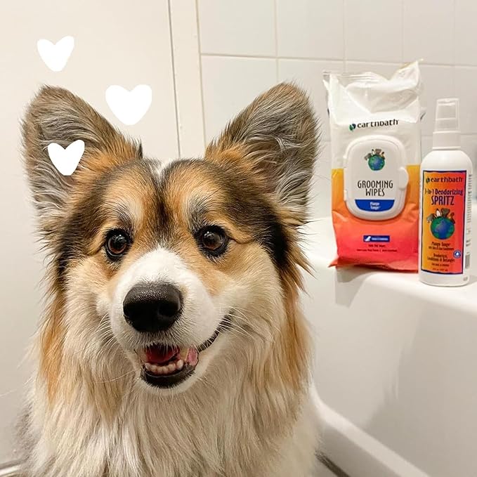 earthbath, Mango Tango Grooming Wipes - Dog Wipes for Paws and Butt, Best Pet Wipes for Dogs & Cats, Made in USA, Cruelty-Free Dog Cleaning Wipes, Removes Dirt & Dander - 100 Count (2 Pack)