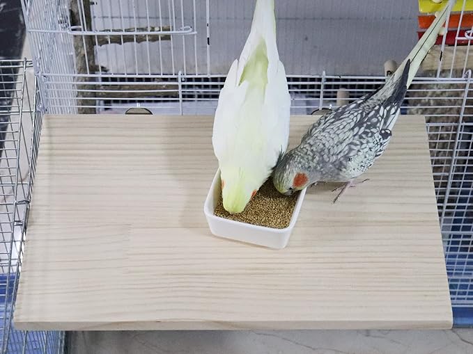 15.7_10.4 Inches Large Bird Perch Stand Platform, Natural Wooden Small Animals Cage Accessories, Rectangle Stand Perch Shelf for Parrot Parakeet Cockatiel Rat Hamster Guinea Pig Conure Chinchillas