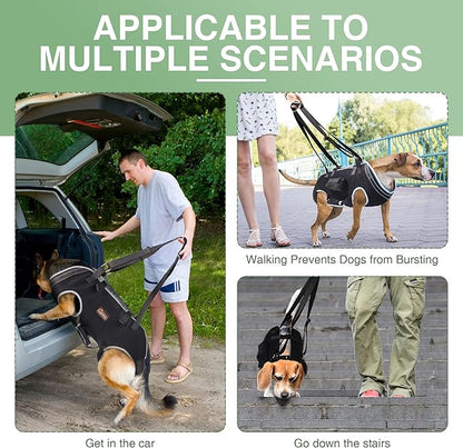 Dog Lift Harness for Senior Dogs and Medium Dogs, Walkabout Harness for Dogs for Hip dysplasia, Arthritis, Full Body Dog Lift Harness Help Loss of Stability Dogs Walk XS