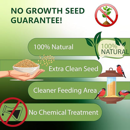 Shelled Peanuts Seeds Wild Bird Food - 5 Pounds I No Grow Seed I Bird Seed for Wild Birds