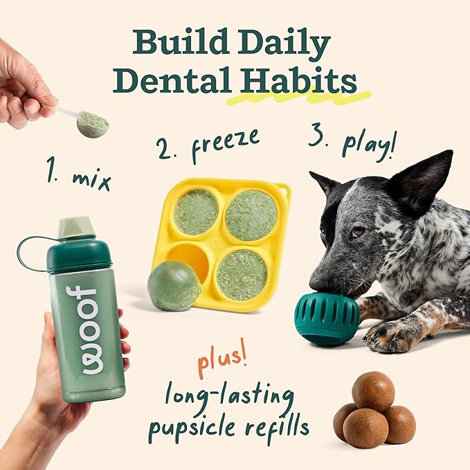 WOOF Dental Kit- Includes Pupsicle Dog Toy, Treat Tray, Shaker Bottle, Chicken Pupsicle Pops, and Dog Teeth Cleaning Powder - Supports Oral Health for Dogs - Large