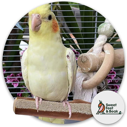 Sweet Feet and Beak Superoost Manzanita Pumice Pedicure Perch- Easy to Install Bird Cage Accessories for Healthy Feet, Nails and Beak - Natural Bird Perches Imitates Birds' Life in The Wild - S 8"