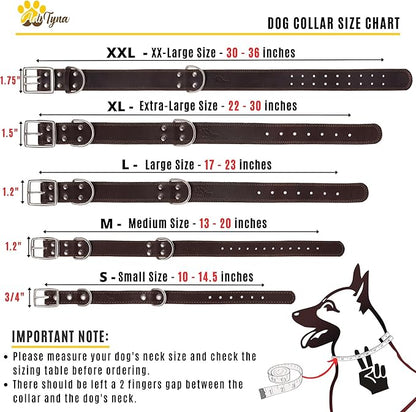 ADITYNA Heavy Duty Leather Dog Collar for Medium Dogs - Soft and Strong Leather Dog Collar for Medium Dog Breeds (Medium: Fit 13" - 20" Neck, Brown - Gold Colored Buckle)